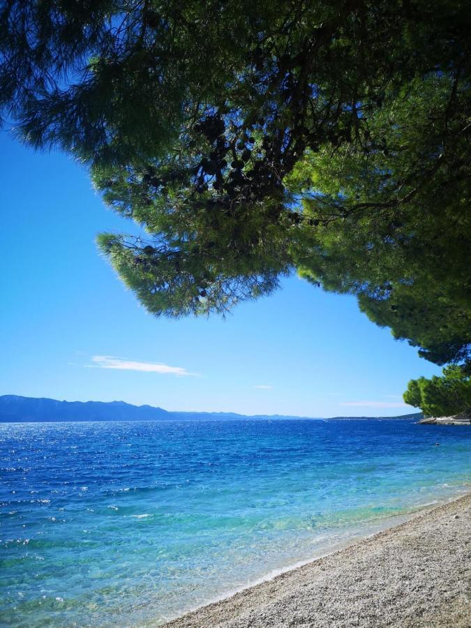 Apartments Lozina Drvenik  Εξωτερικό φωτογραφία
